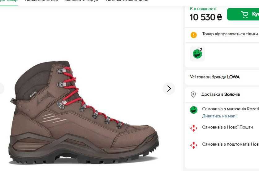 Чоловічі трекінгові черевики LOWA Renegade Gore-Tex