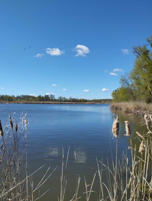Земельна ділянка водного фонду площею 66,9690 га, Вінницька обл.