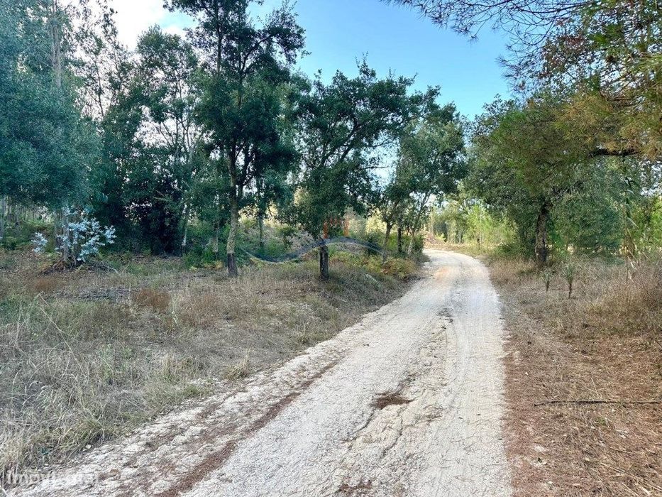 Terreno Florestal - Serra Porto de Urso.