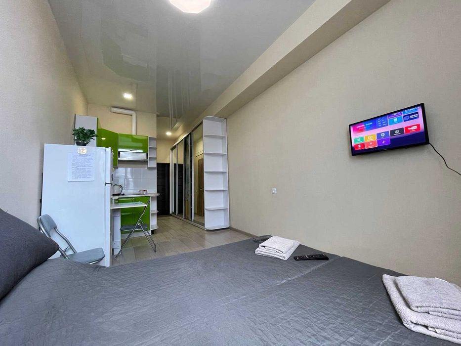 Уютная квартира посуточно - Фр бульвар, Неврология 3, 17 больница -70м