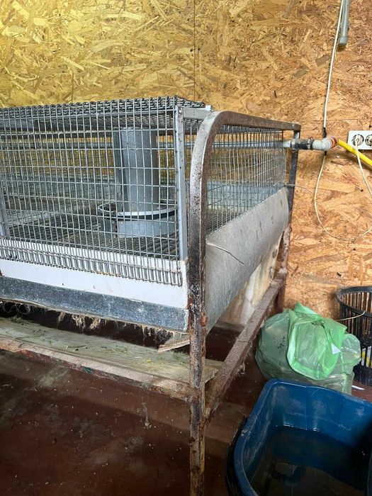 Клітка для відгодівлі кролів