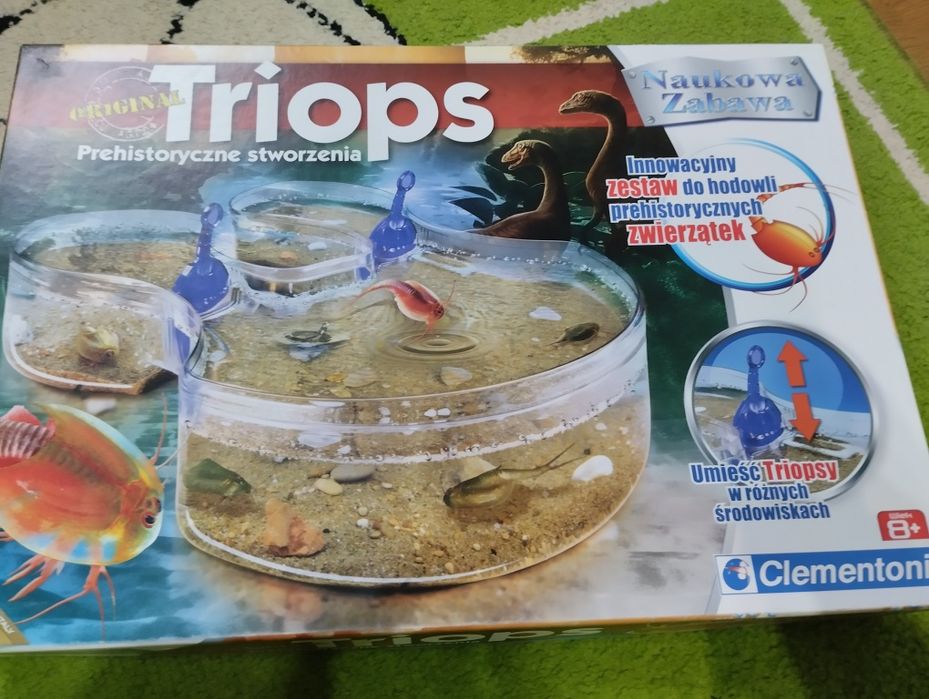 Triops clementoni zestaw do hodowli