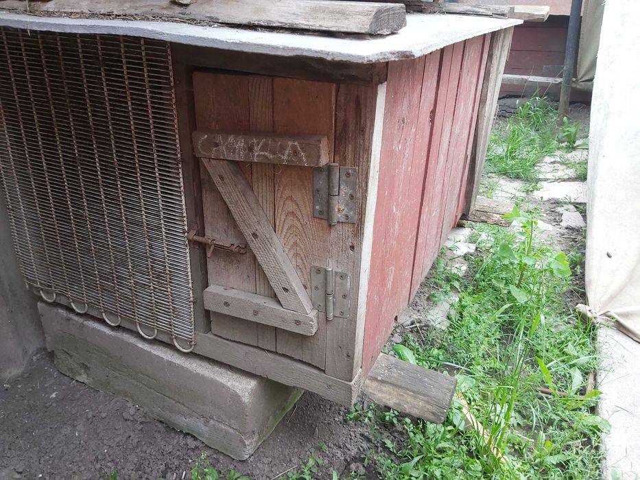 Клітки для кролів