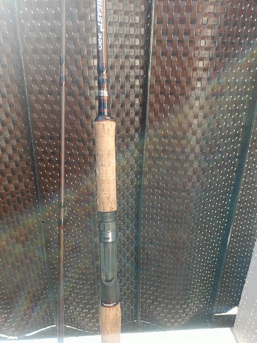 Wędka castingowa Abu Garcia BEAST PRO 50-150
