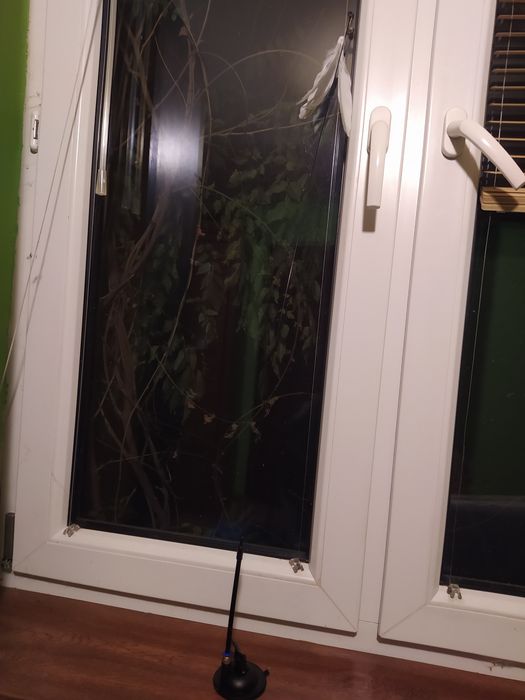 Zabawka dla kota na przyssawce piórko
