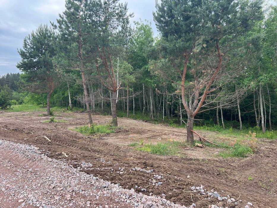 Краєвид, ліс і тиша. Ділянки під забудову