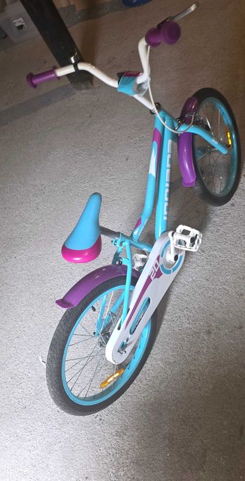 Rower indiana roxy kid
