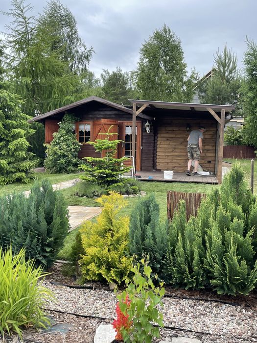 Domek letniskowy do wynajęcia