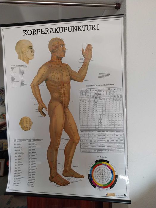 Posteres acupuntura