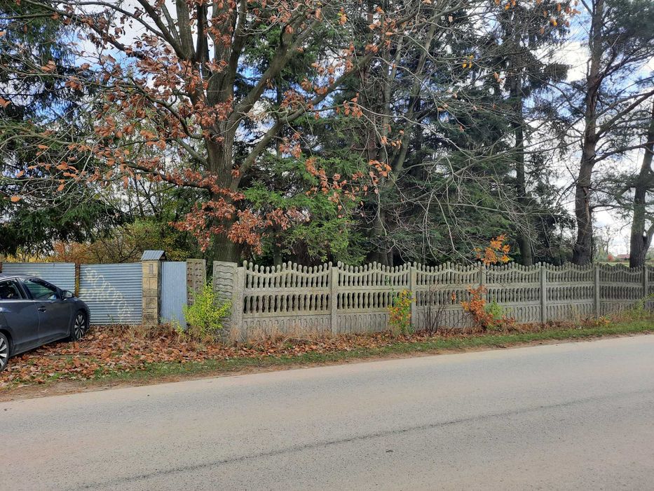 Siedlisko z potencjałem i dostępem do jeziora - Mozolice Małe 7024 m² - 360tys. - Widok 4
