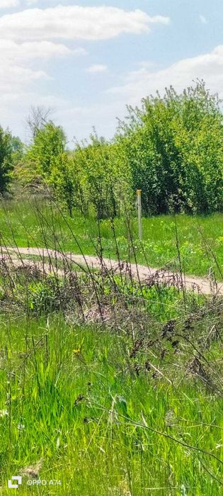 Продаж земельної ділянки, с. Осещина, с/т "Ветеран-1"