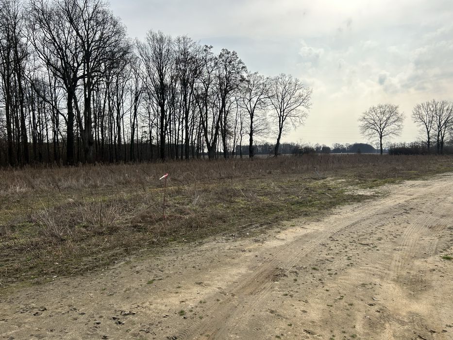 Działka budowlana 29 arów ( Wichów)