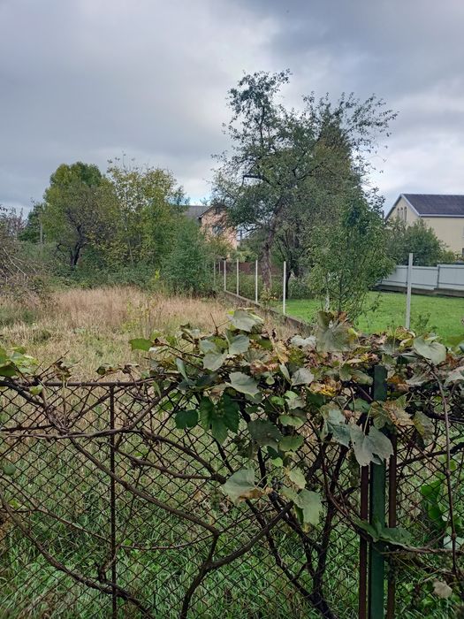 Продаж будинку з земельними ділянками м.Тисмениця