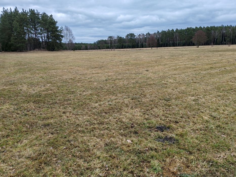 Sprzedam grunty rolne