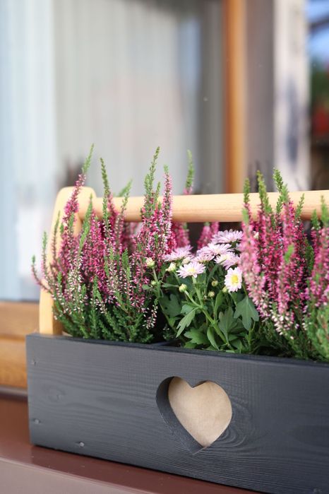 Skrzyneczka na kwiatki, wrzosy, zioła