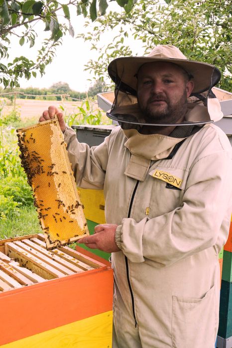 Мед у сотах. Стільниковий мед. доставка!