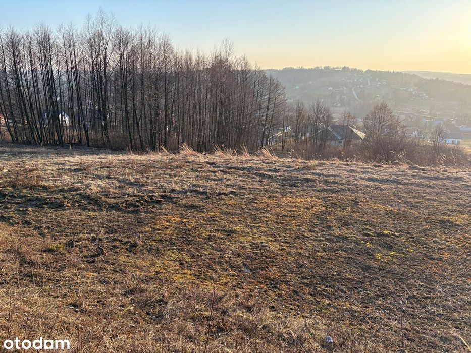 Działka budowlana 49 ar z WZ, widokowa – Borek Stary - Widok 3