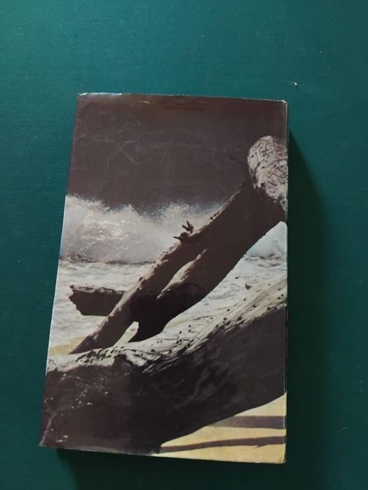 Livro “Encontro Na Praia”