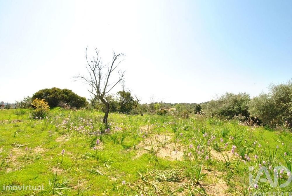 Terreno Agrícola em Paderne