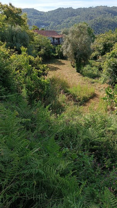 Casa de habitação para restaurar