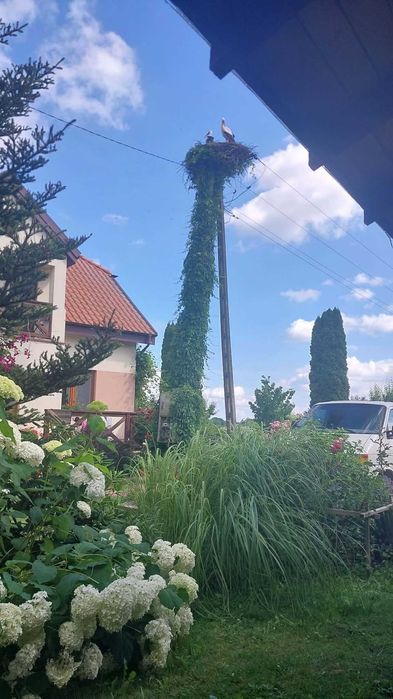 Pokoje Gościnne Bocianie Gniazdo