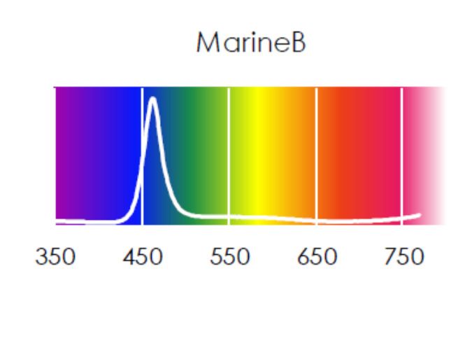 Świetlówka APE Led Marine B APE 19 wat.
