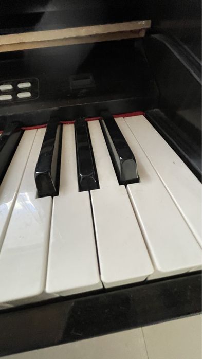 Piano elétrico worlde