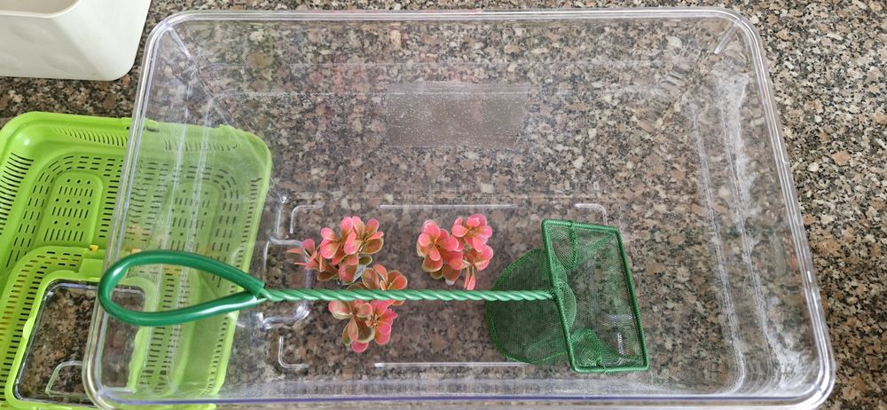 Aquário com acessorios