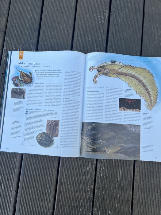 A Fabulosa História da Terra - Seleções do Readers Digest