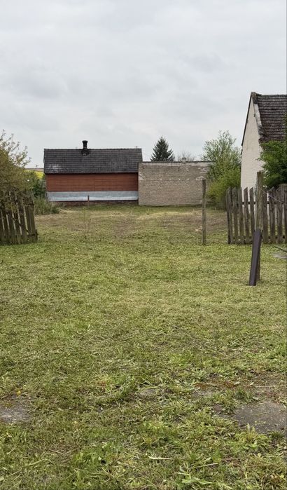 Koszenie trawy ,sprzatanie ,wycinka .