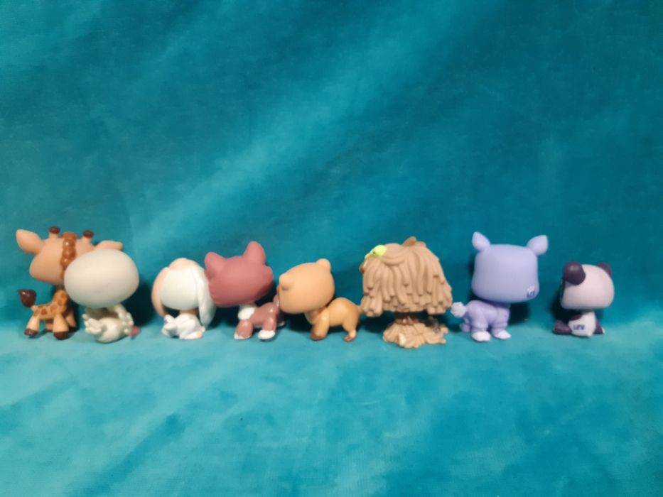 Littlest  pet  Shop.