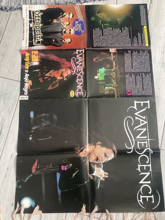 Poster Evanescece novo