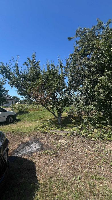 Земельна ділянка 24 сотки з свердловиною Шевченкове Броварський район