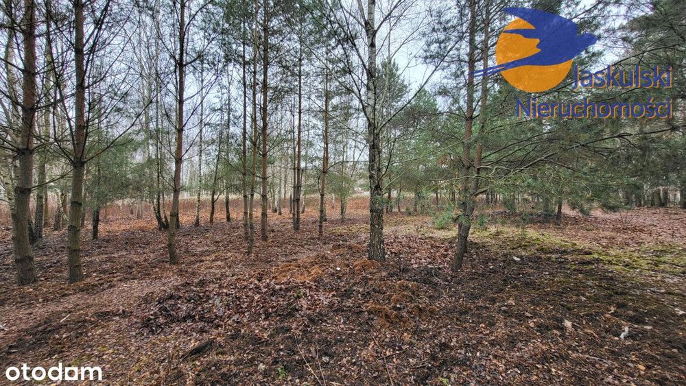 Działka na sprzedaż, 1439 m²