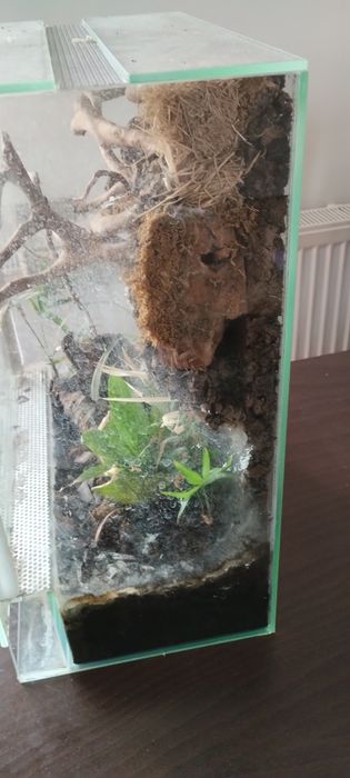 Terrarium dla gada