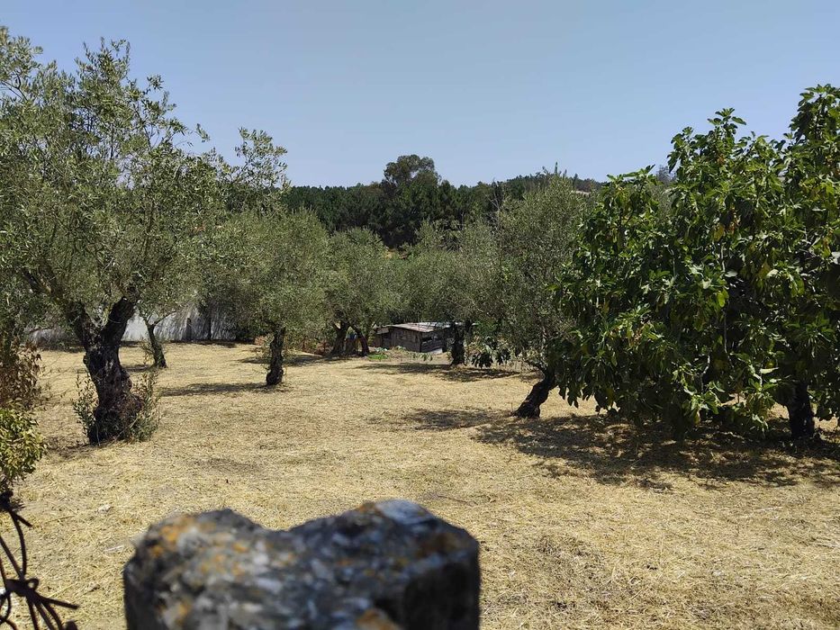 Terreno Urbano para Construção