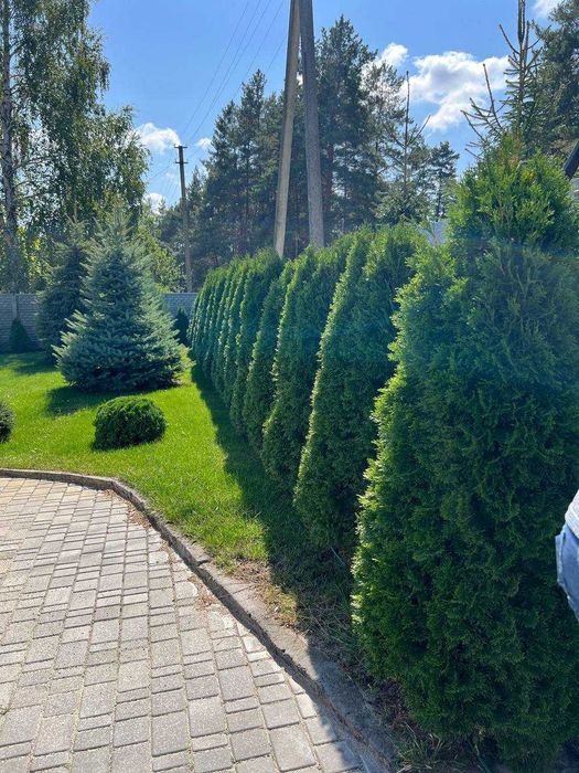 Продаж затишного будинку в с.Думанці