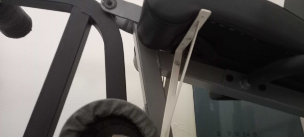 Cadeira de extensão/flexão