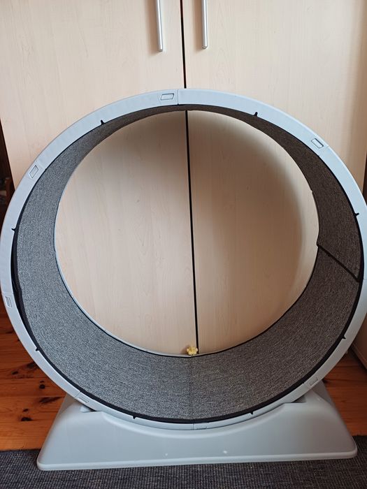 Kołowrotek bieżnia dla kotów