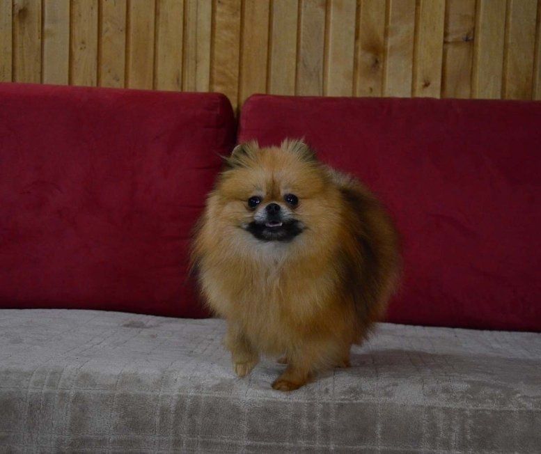 Девочка подружка