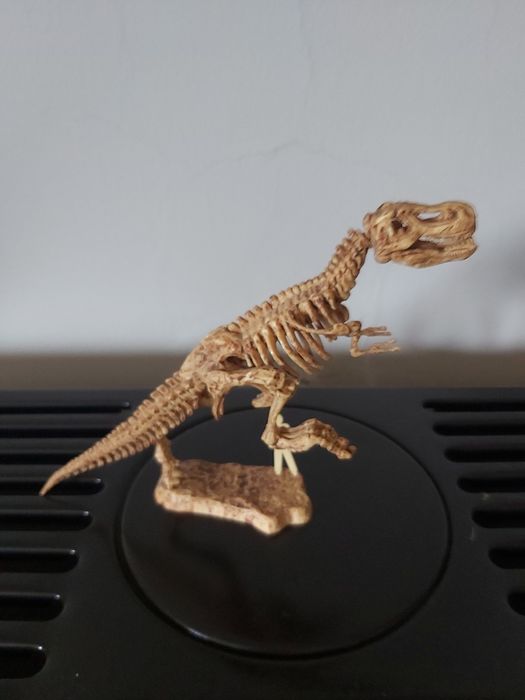 Fóssil T-Rex decoração