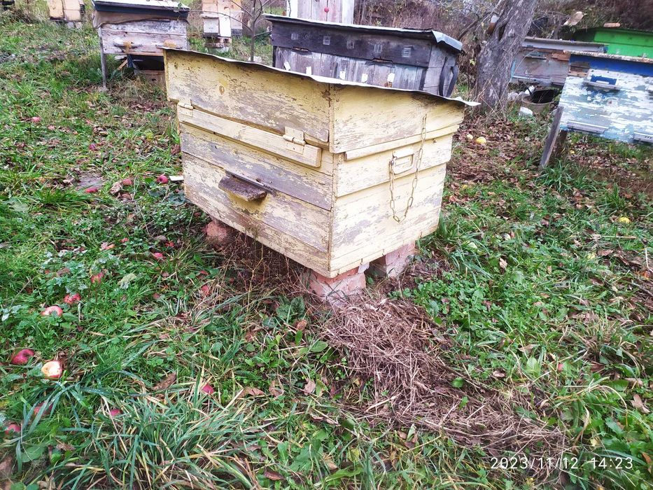 Вулики даданівські