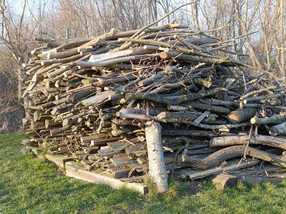 Drzewo opałowe na zimę