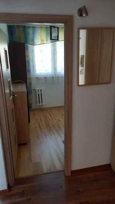 mieszkanie do wynajęcia