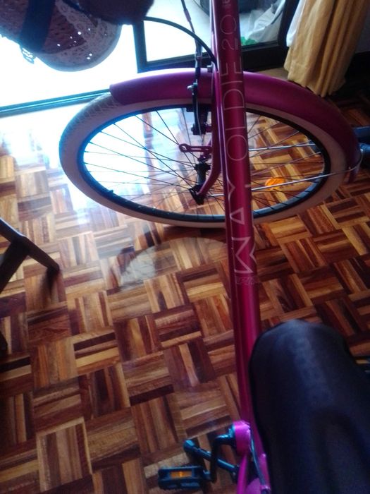 Bicicleta Senhora pasteleira