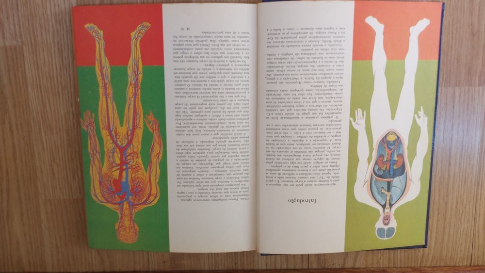 As Maravilhas do Corpo Humano o que é e como funciona