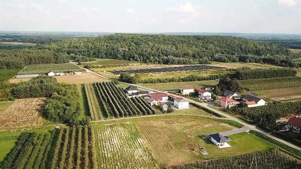 Domek wśród Jabłonek-domek do wynajęcia nieopodal  Sandomierza i Jeziora Tarnobrzeskiego
