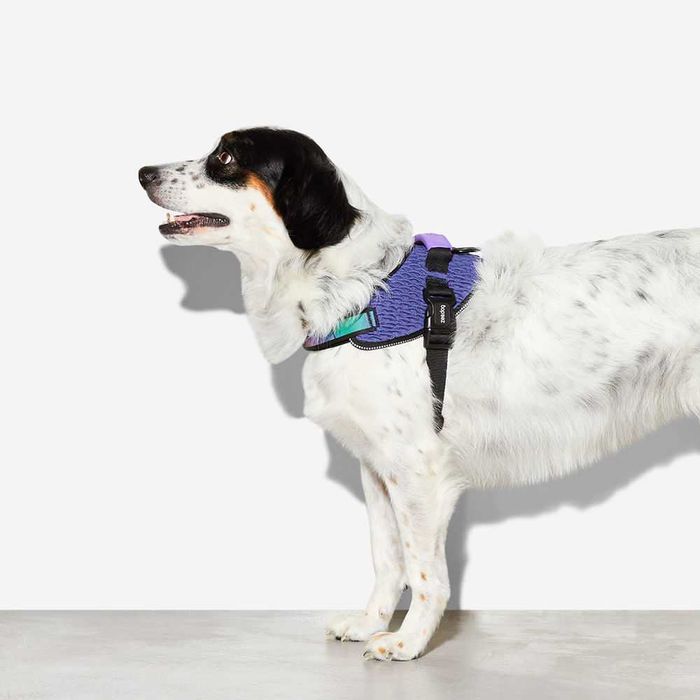 NOVO - ZEE.DOG Fly Harness, peitoral para cão