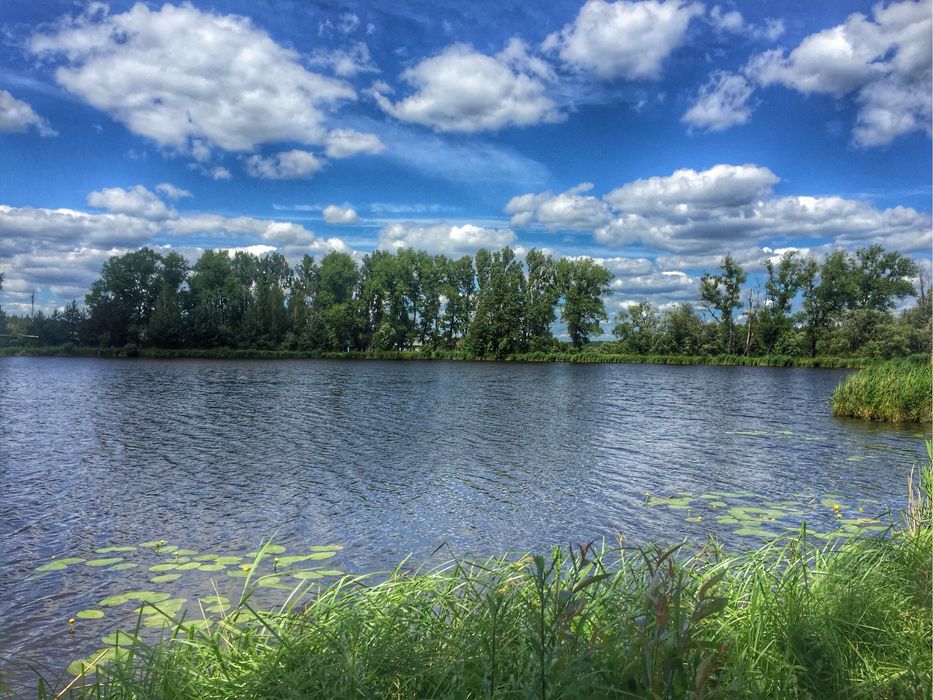 Продаж земельної ділянки 0,25 га біля бази відпочинку