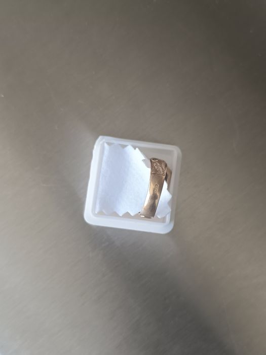 Anel Curso Lindíssimo - Politécnico Bragança